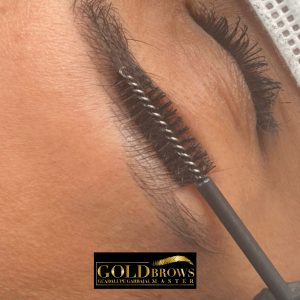 120461843_2760540990873001_6799257458960359453_o