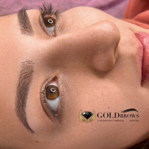 7ecf5e30-783a-4c39-b46c-bec1a3096296